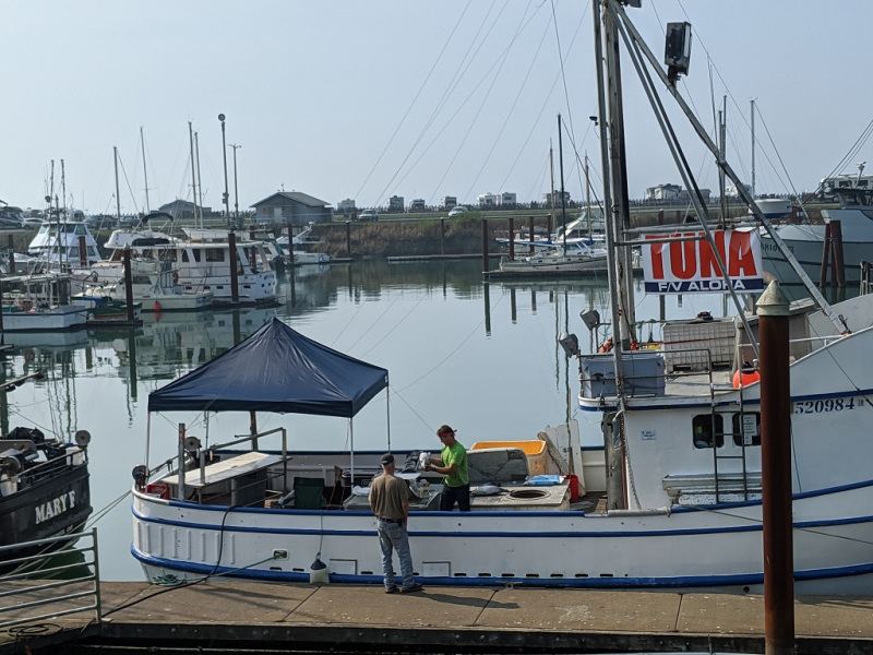 Fresh-Tuna-at-Port-of-Brookings-Harbor | Brookings, Oregon.