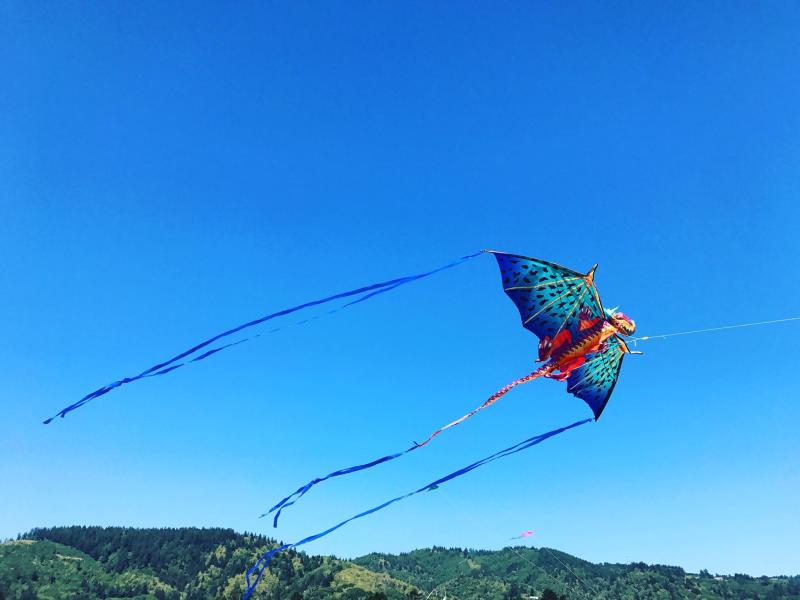 Annual Kite Festival at Port of Brookings-Harbor | Brookings, Oregon.