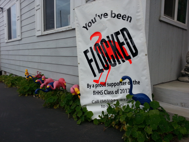 You've been FLOCKED! By a proud supporter of Brookings-Harbor High School