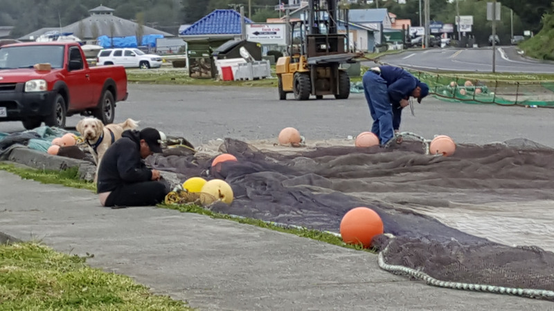 Getting ready for shrimp season at Port of Brookings-Harbor, Oregon
