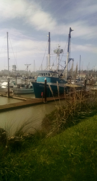 Many boat owners choose to liveaboard, Port of Brookings-Harbor, Oregon.
