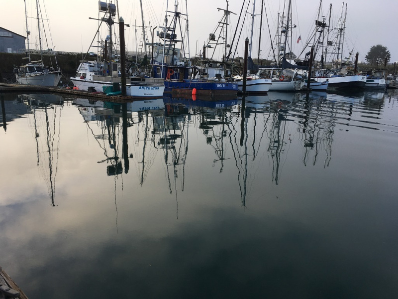 Port Of Brookings-Harbor boat basin | Reflections