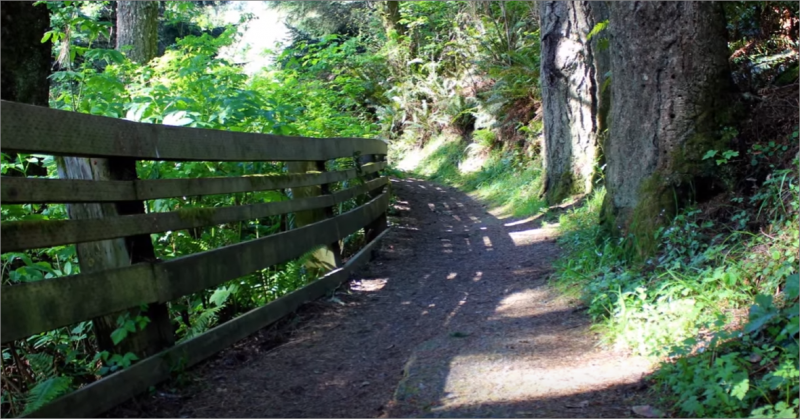 Samuel Dicken - Oregon Trail Natural bridges#4 at Boardman State Park | Brookings, Oregon.