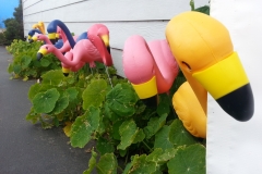Have you been FLOCKED?