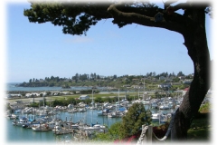 View of Port of Brookings-Harbor, Oregon from property adjacent to Ocean Suites Motel