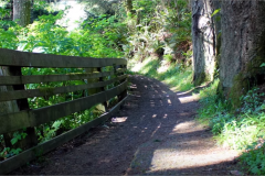 Samuel Dicken - Oregon Trail Natural bridges#4 at Boardman State Park | Brookings, Oregon.