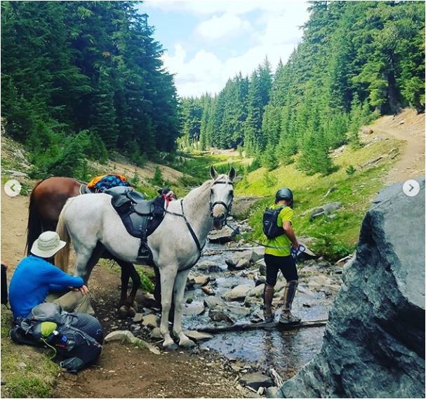 Sean-Nolan-PCT-From-Crater-Lake-north-and-unexpected-horses