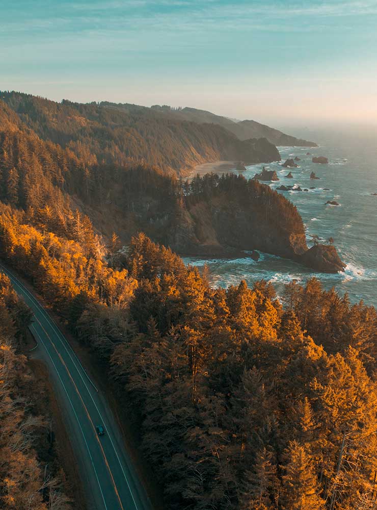 highway101